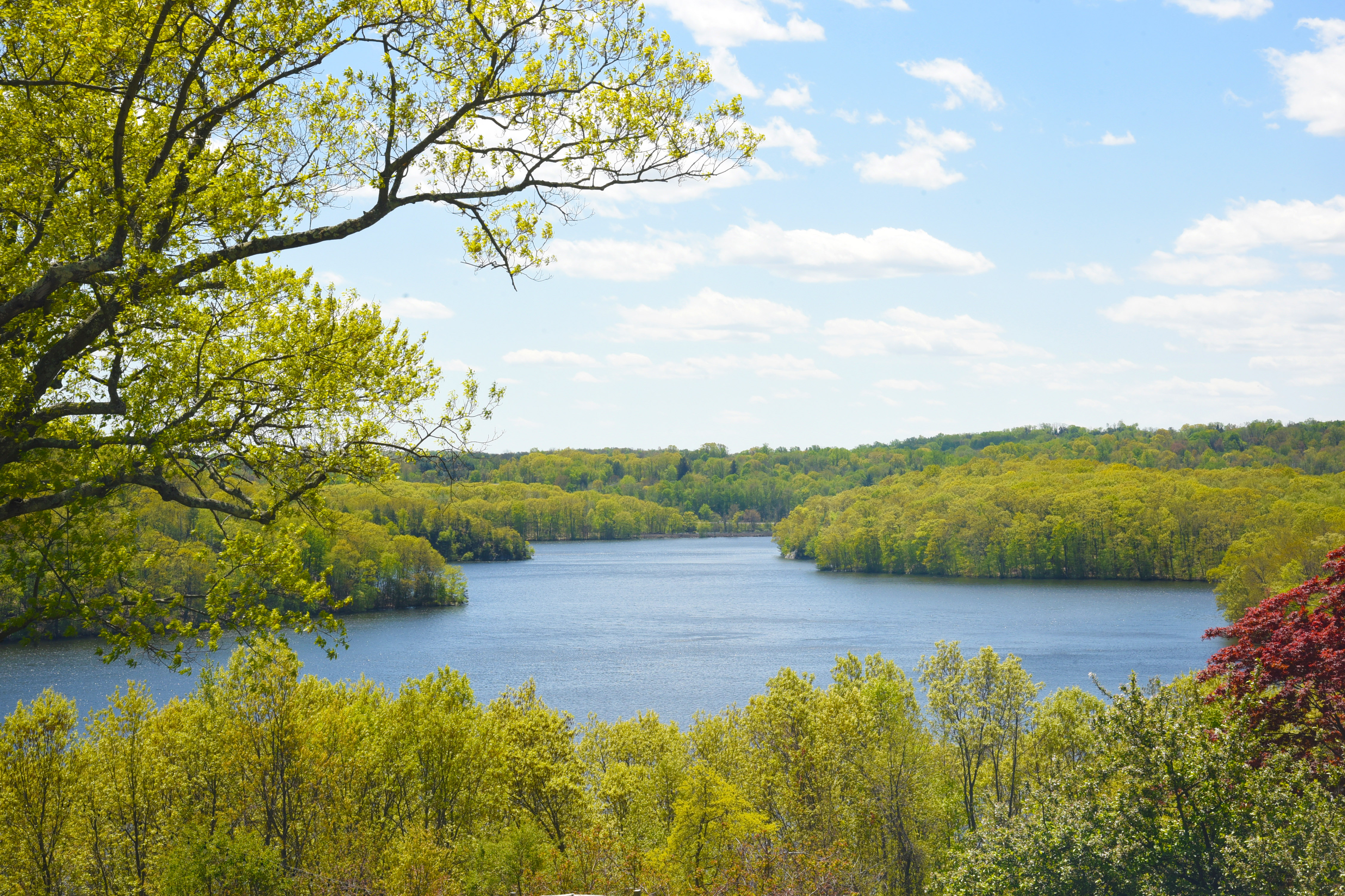 View from our patio of the East Branch Reservoir